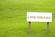 PLOTS FOR SALE IN THINDIVANAM