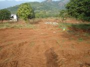 Plots for sale at the foothills of  kodaikanal