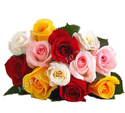 Send online flower to Chennai,  Send Cakes to Chennai