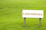 PLOTS FOR SALE IN PAZHAVERKADU (CHENNAI)