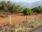 Plots for sale near kumbakarai falls - kodaikanal