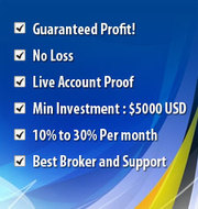 GK Forex EA,  Expert  Advisor,  Pondicherry,  India