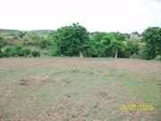 RESIDENTIAL PLOTS FOR SALE IN ARCOT