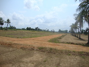 RESIDENTIAL  APPROVED PLOTS IN MELMARUVATHUR