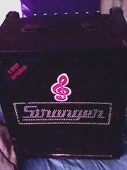 Stranger amplifier-80 watts RMS- 2 channels for sale
