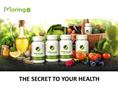 USA BASED NEW ORGANIC HEALTH CARE BUSINESS OPPORTUNITY