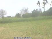 Agriculture Land For Sale...