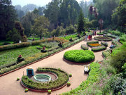 Ooty Tour Packages-SSG Tours