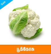 buy vegetables online