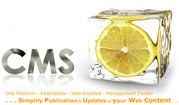 cms website developer chennai