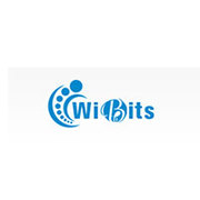 Local Business Listing Services- Wibits Web Solutions