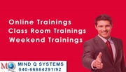 Mind Q Systems - Online Training