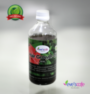 Evescafe - Hair Growth Oil