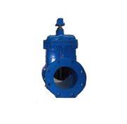 Gate Valves Manufacturers in India