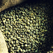 Green Coffee Bean Extract Manufacturers