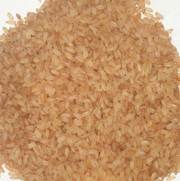 Indian Rice Exporters