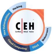 ceh training and certification