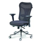 Ergonomic chairs online | Ergonomic Office Chairs - Shoppy Chairs