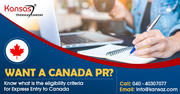 Want a Canada PR;  know what is the eligibility criteria for express en