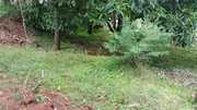 6.50 Acres-Agriculture Land with pump house for sale at Schenkottai