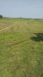 	On Road Site for Sale at Cheyyar to Tiruvannamalai National Highways