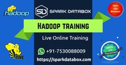 Online Training and Course - Sparkdatabox