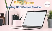 SEO Company in Salem - SEO Force