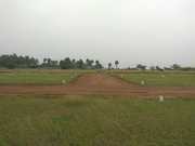 DTCP lands for sale in kinathukadavu 1200 sqft plot rate 3 lakhs only 