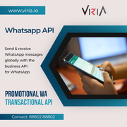 Viria - Whatsapp marketing Chennai 