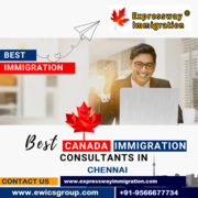 Expressway Immigration Consultancy Service (EWICS)