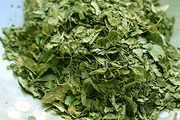 Special,  Quality Moringa Tea Leaves available | Moringa Wholesale