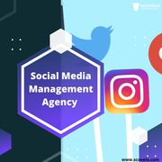 Social Media Management Agency In Chennai - ScoVelo Consulting