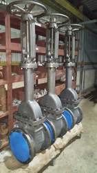 Rising stem Gate valve manufacturer in India