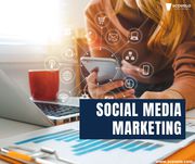 Best Social Media Management Agency In Chennai - ScoVelo Consulting