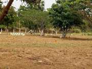 Low budget land for sale in kinathukadavu 
