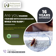 Professional Pest Control Service in Coimbatore