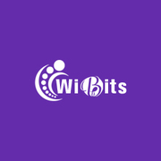 Top Web Solutions Company To Grow Your Business | Wibits Web Solutions