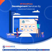 Top WordPress Plugin & Theme Development Services in Tamil Nadu