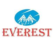 EVEREST Stabilizer - Online Shopping for Home Appliances