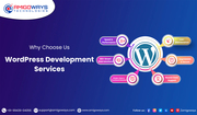 Top WordPress Plugin & Theme Development Services in Tamilnadu