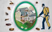 TOP 10 PEST CONTROL SERVICE IN CHENNAI CHENGALPET 
