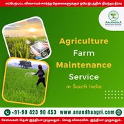 Agribusiness Industry Consulting in Tamilnadu