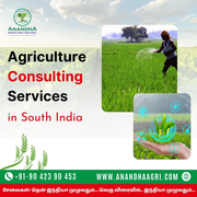 Agribusiness Industry Consulting in Tamilnadu