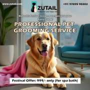 Mobile Pet Grooming in Coimbatore