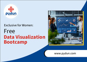 3 Hour Free Data Visualization Bootcamp Training