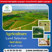 Agribusiness Industry Consulting in Tamilnadu