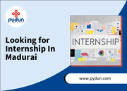 Looking for Best Internship Opportunities