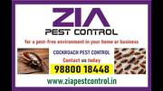 11 Cockroach Pest Control Upto 30% Discount | Bed Bugs Pest service 