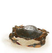 Vertical crab farming boxes
