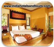 BOOK YOUR TOUR AND HOTEL IN INDIA